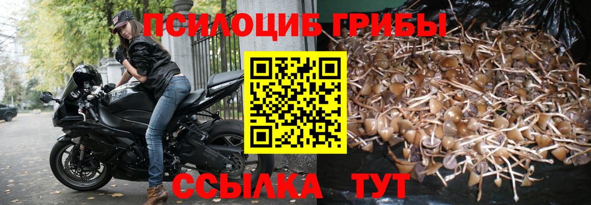 Изобильный  Псилоцибиновые грибы прущие грибы  Псилоцибиновые грибы Cubensis  Вход с VPN 